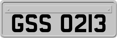 GSS0213