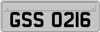 GSS0216
