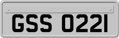 GSS0221