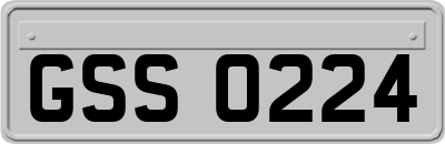 GSS0224