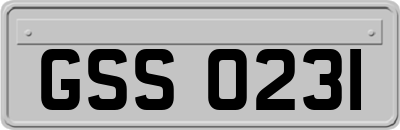 GSS0231