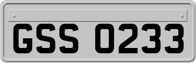 GSS0233