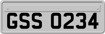 GSS0234