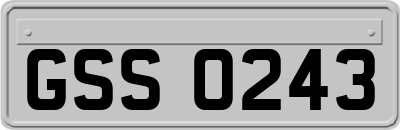 GSS0243