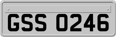 GSS0246