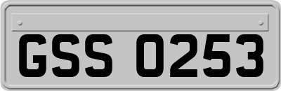 GSS0253