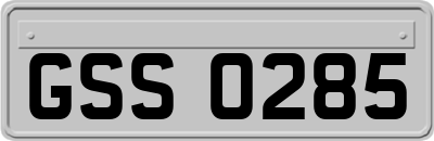 GSS0285