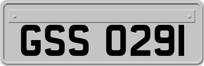 GSS0291