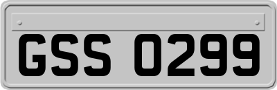 GSS0299