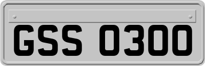 GSS0300