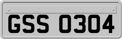 GSS0304