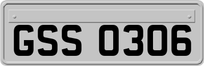 GSS0306