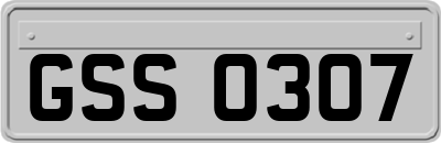 GSS0307
