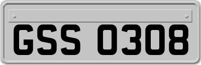 GSS0308