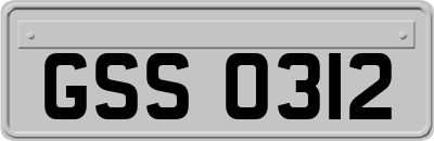 GSS0312
