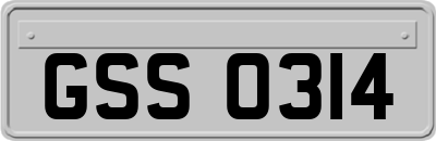 GSS0314