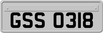 GSS0318