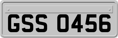 GSS0456