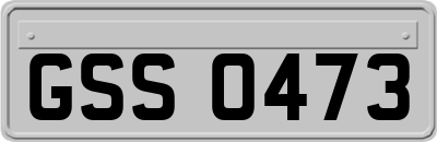 GSS0473