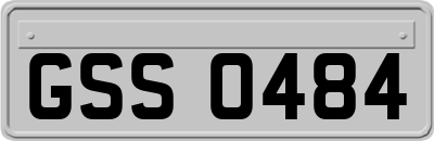 GSS0484