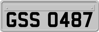 GSS0487