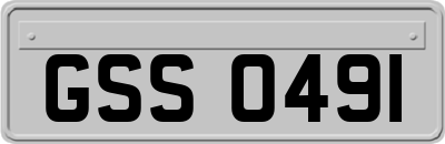 GSS0491