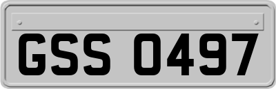 GSS0497