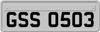 GSS0503