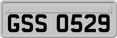 GSS0529