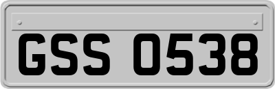 GSS0538