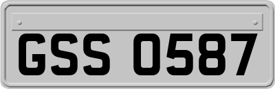 GSS0587