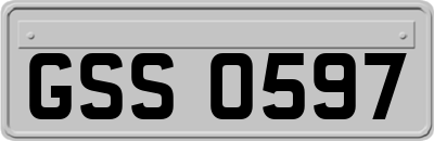 GSS0597