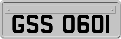 GSS0601