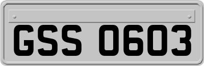 GSS0603