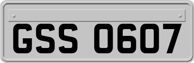 GSS0607