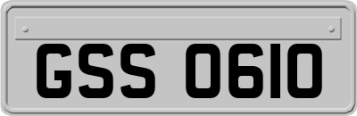 GSS0610