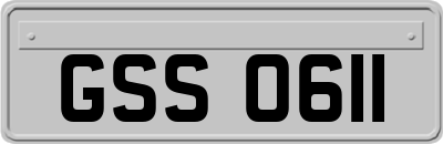 GSS0611