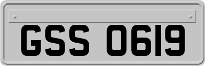 GSS0619