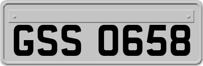GSS0658