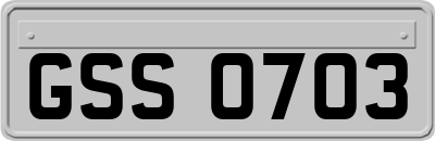 GSS0703