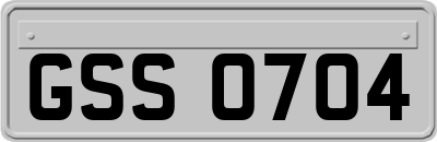 GSS0704