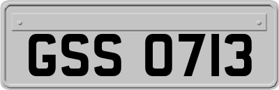GSS0713