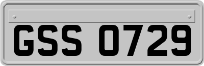 GSS0729