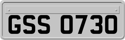 GSS0730