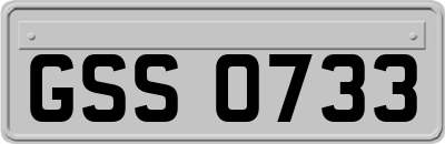 GSS0733