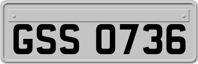 GSS0736