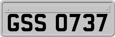 GSS0737