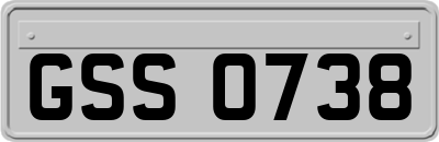 GSS0738