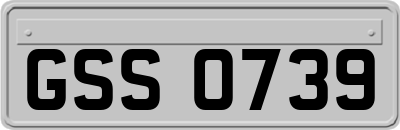 GSS0739