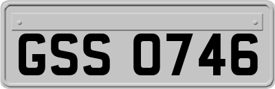 GSS0746